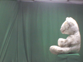 Green and White Teddy Bear